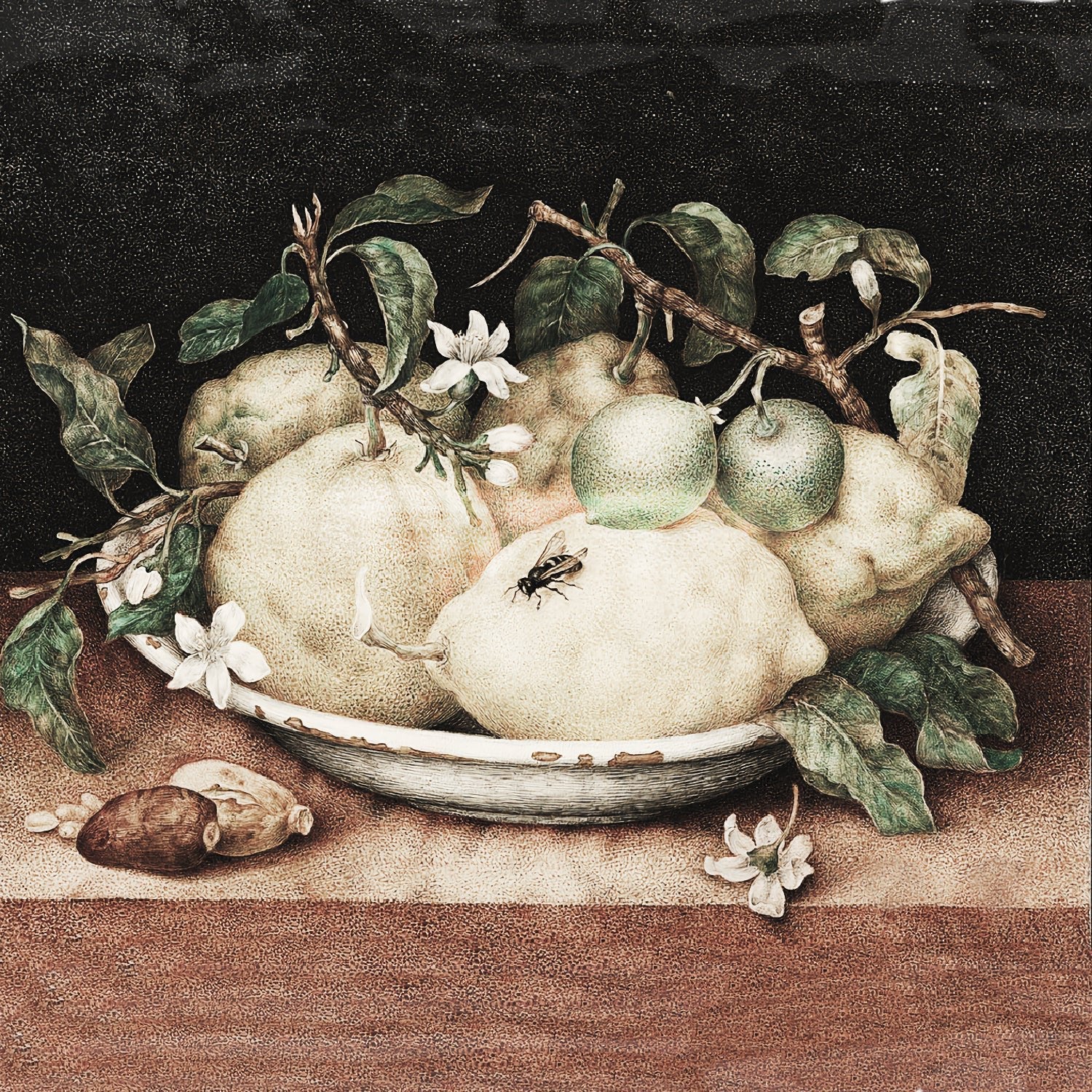 giovanna garzoni paintings