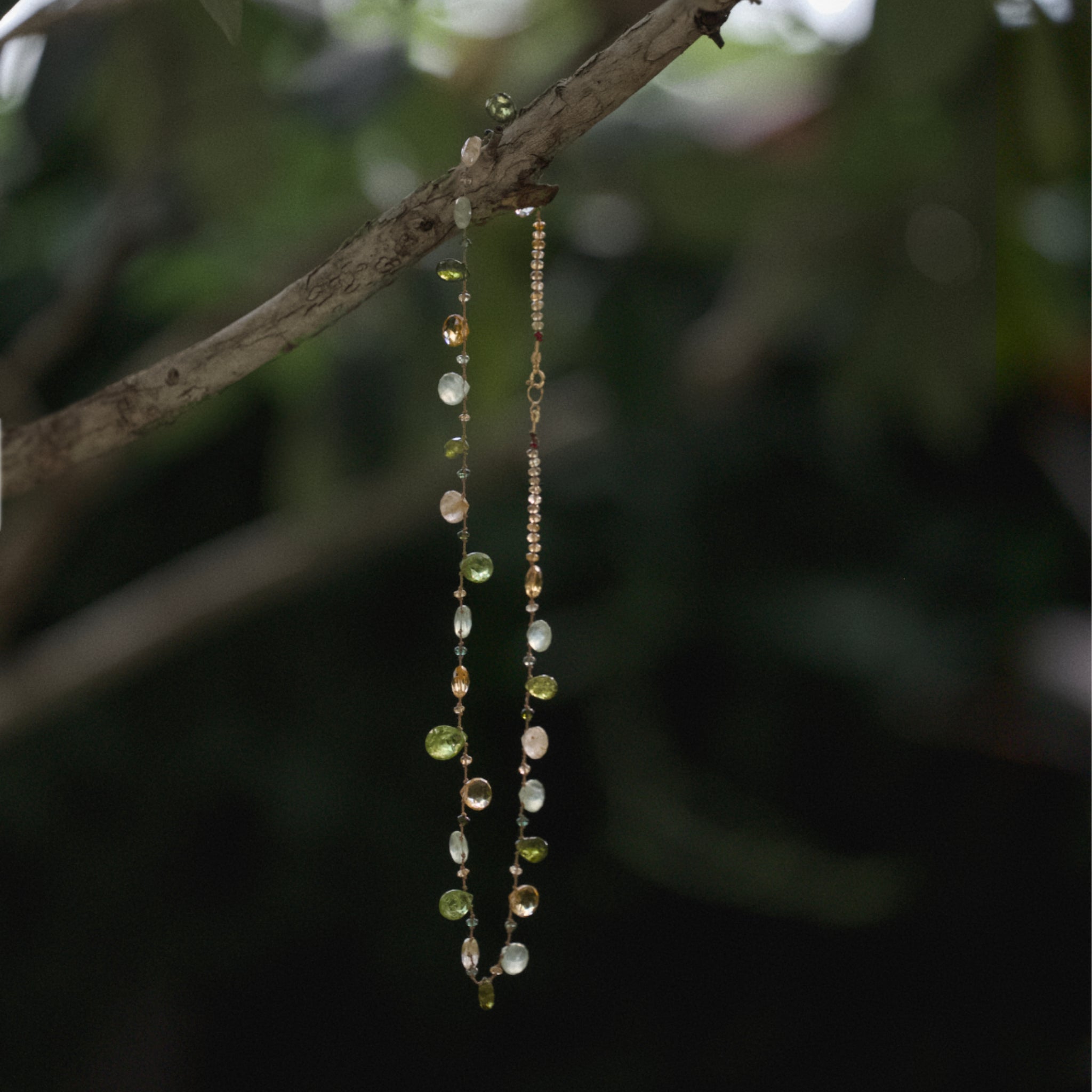 Lido peridot citrine necklace hanging from branch. 