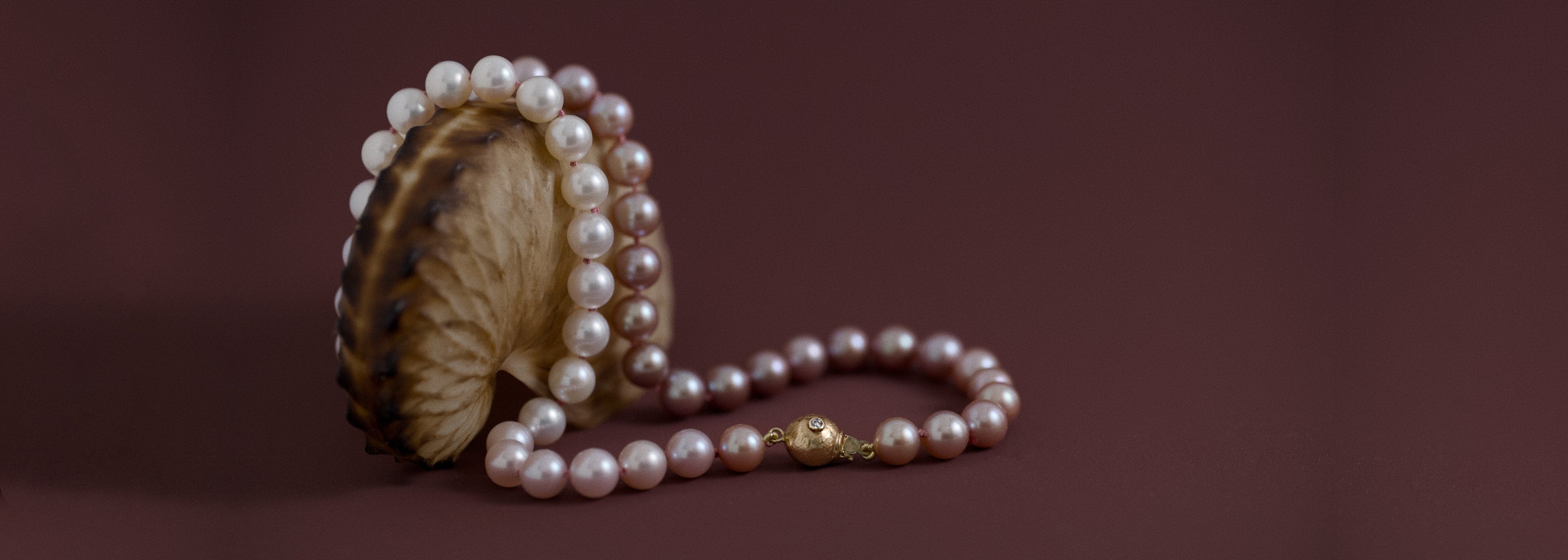 Soft pink ombré freshwater pearl necklace with textured solid gold clasp styled against shell on burgundy background.